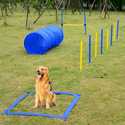 PawHut Dog Agility Starter Kit Pet Outdoor Exercise Training Set